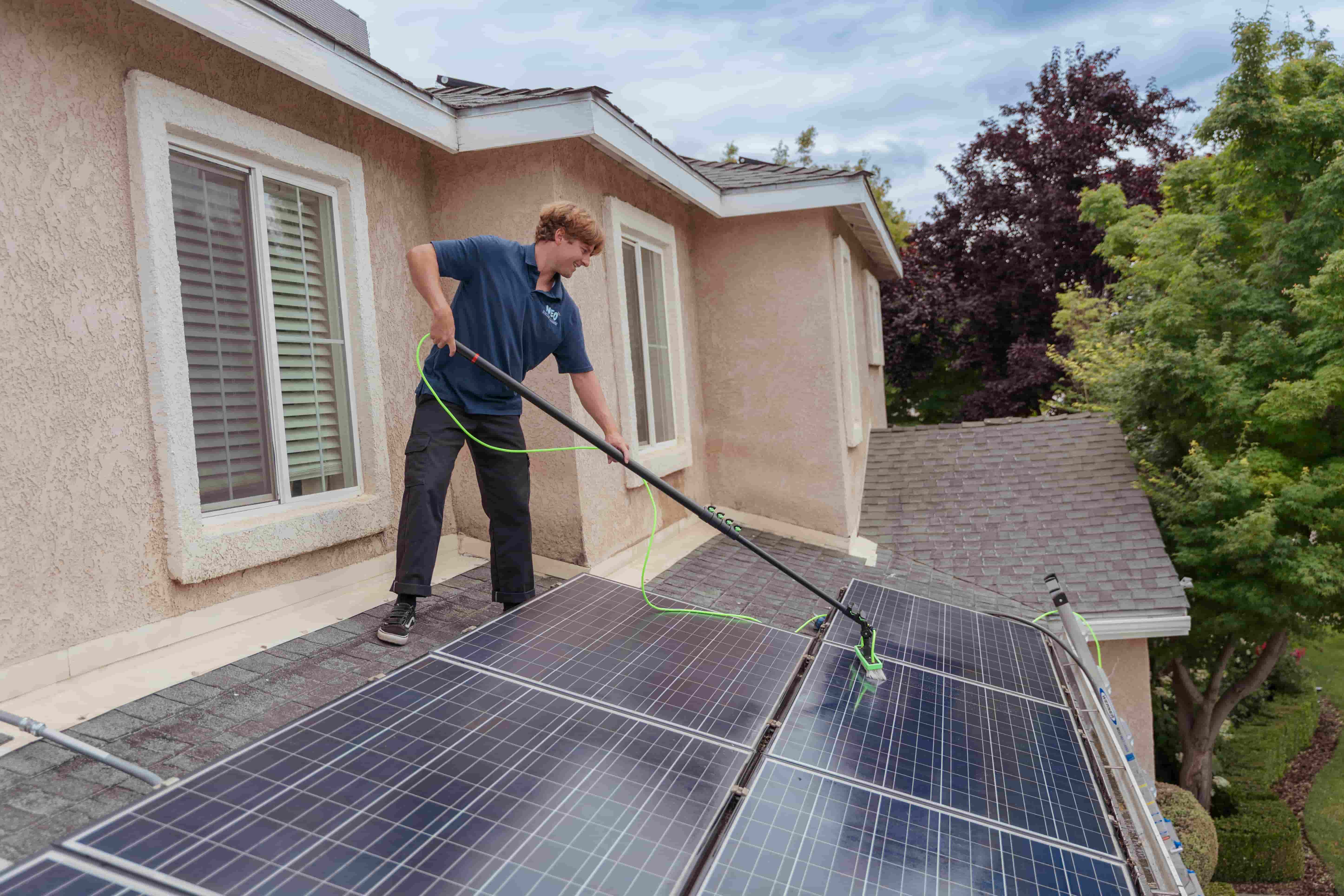 Solar panel cleaning